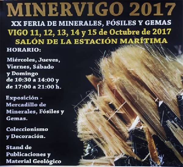 Minervigo D