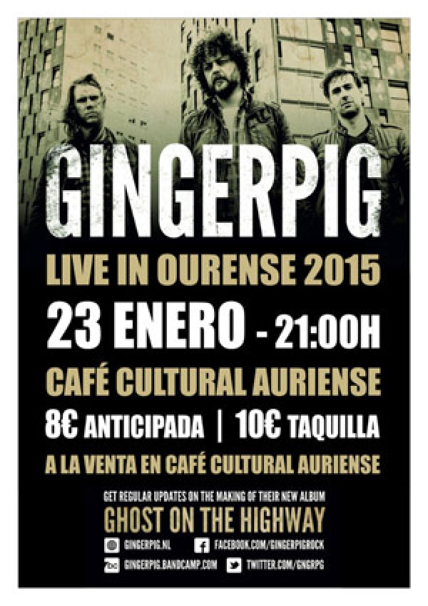 gingerpig