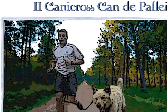 canicross_canpalleiro