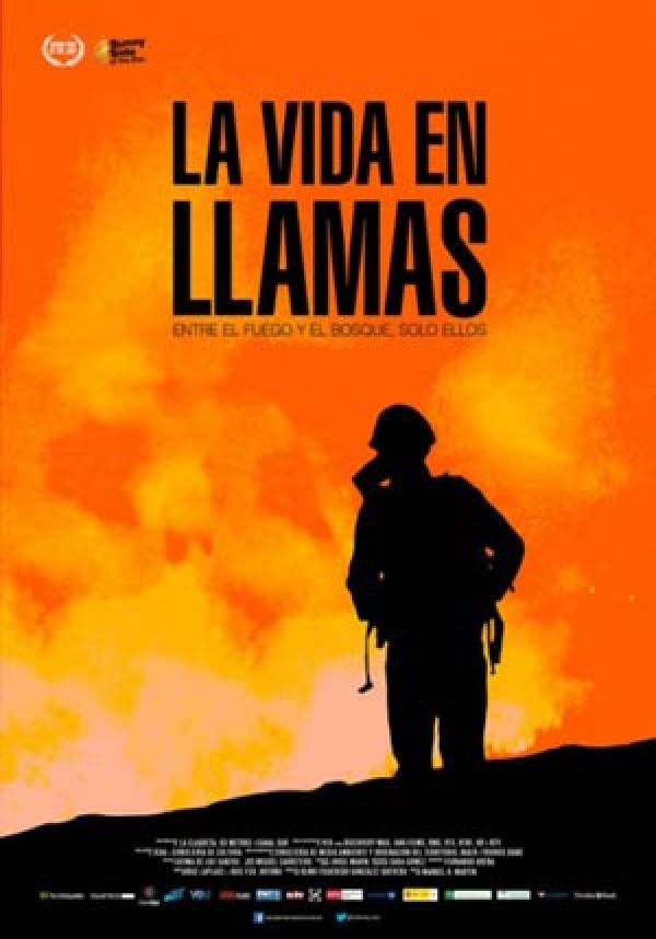 la vida en llamas