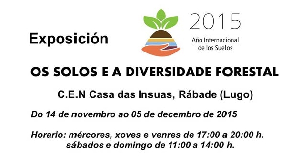 Os solos e a diversidade forestal