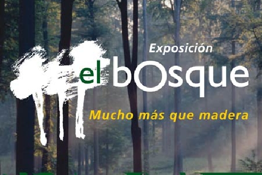 el bosque en Lugo