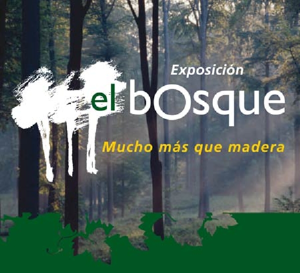 el bosque en Lugo