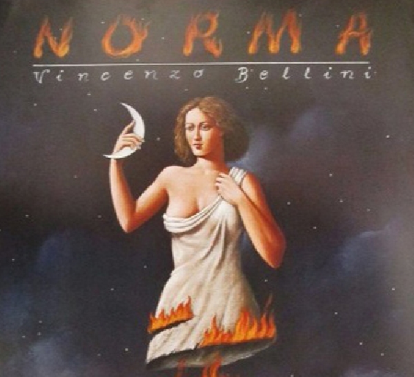 norma D