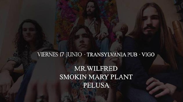 Concierto de Mr.Wilfred, Smokin Mary Plant y Pelusa en Vigo