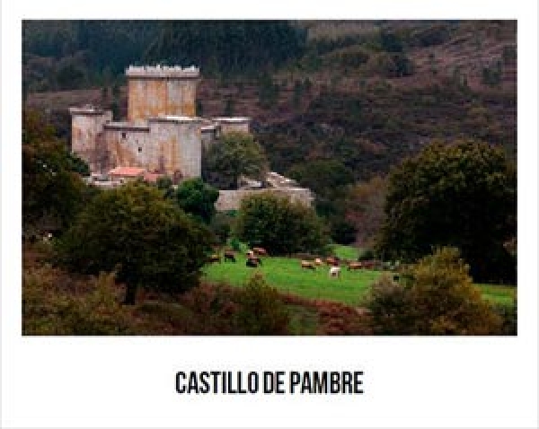 castillo de Pambre