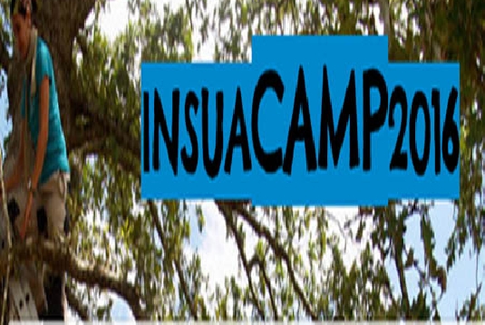 insuacamp D