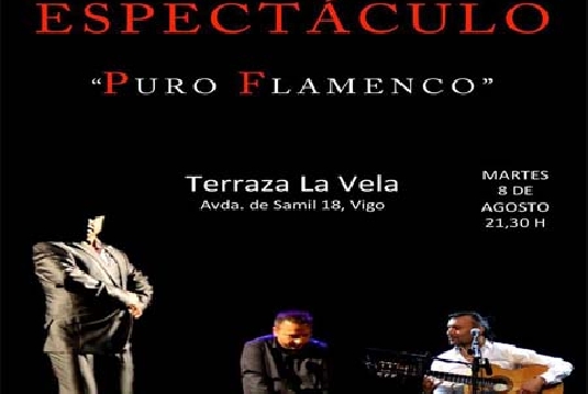 Puro Flamenco D