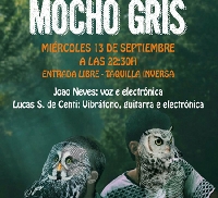 mocho gris D