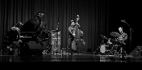 pablo vidal trio E