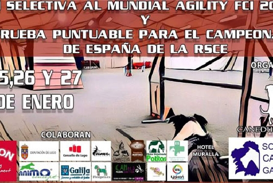 cartel selectiva Lugo 2019 768x543