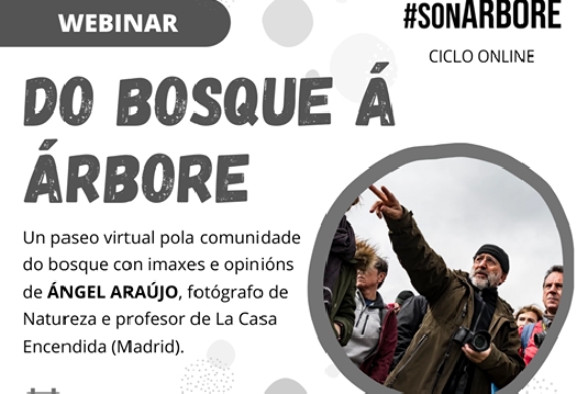 Webinar de #SonÁrbore