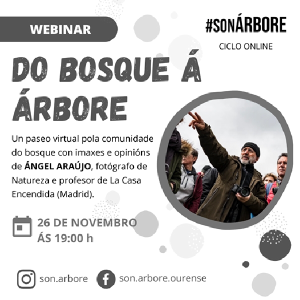 Webinar de #SonÁrbore
