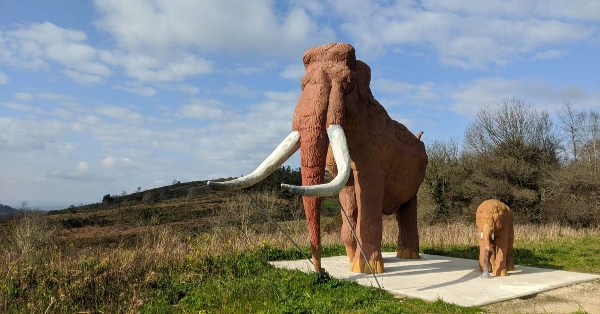 mamut-incio