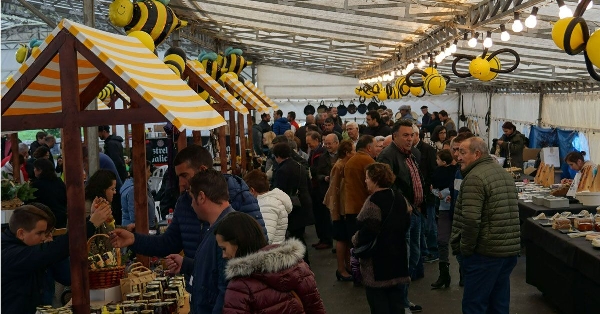 feira do queixo e do mel das pontes