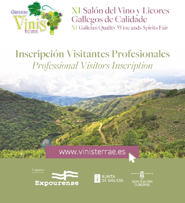 ourense-vinis-terrae