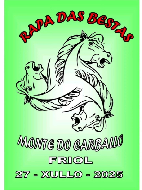 rapa-das-bestas-friol