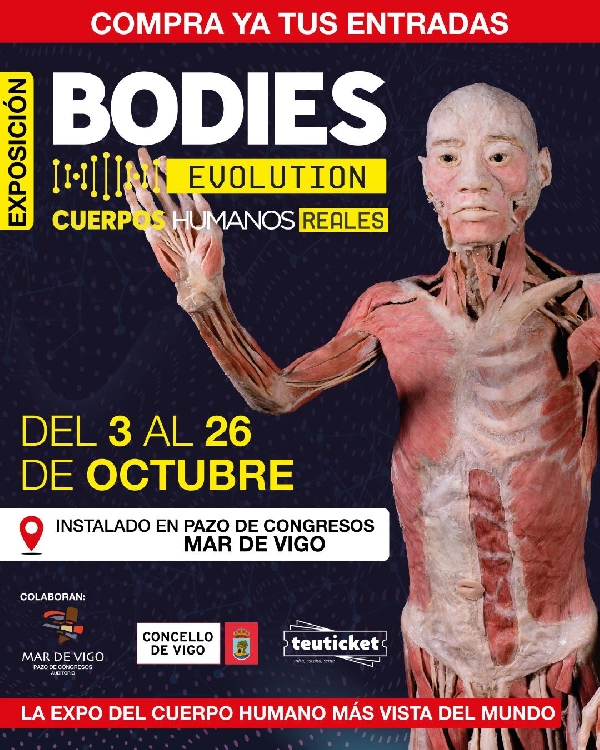 Cartel Bodies Vigo