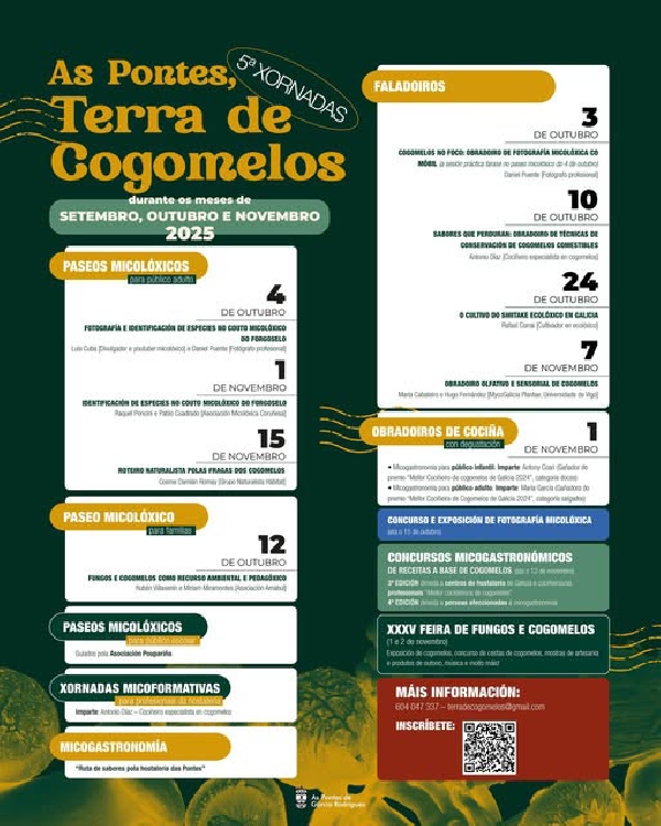 as-pontes-terra-de-cogomelos