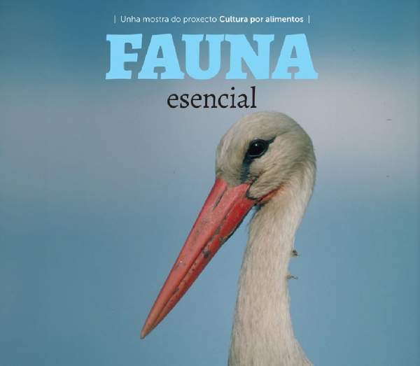 fauna-esencial