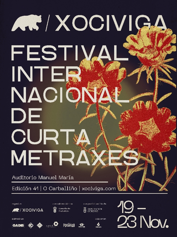 festival-cortos-carballiño