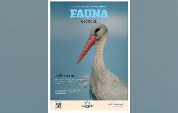 CAMBRE expo fauna