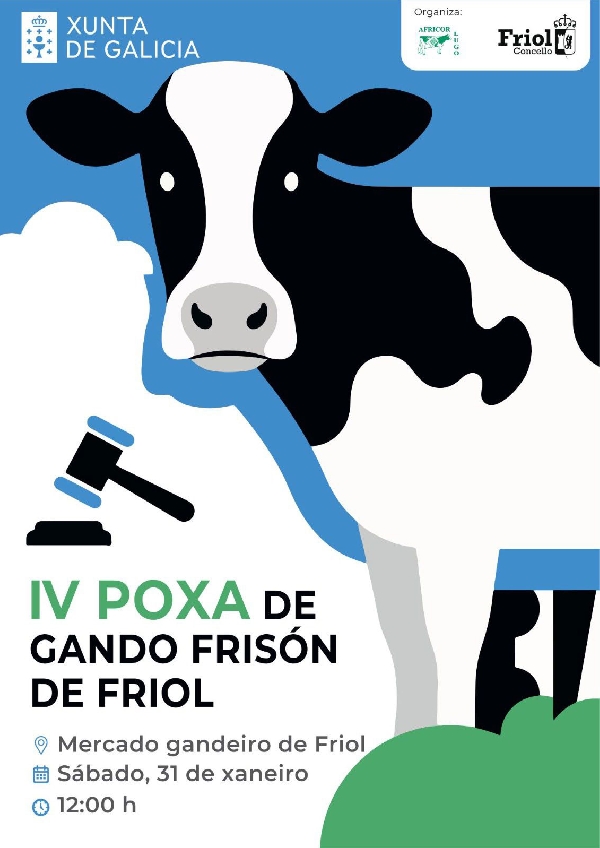 poxa-de-gando-frison-de-friol