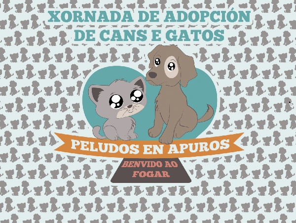 campaña adopción canina e felina