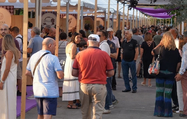 festival-do-viño-de-monforte