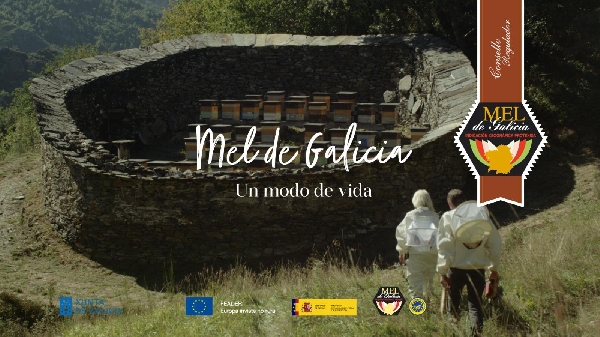un_modo_de_vida_mel_de_galicia_2
