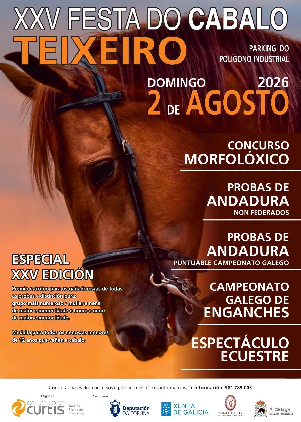 cartel festa do cabalo
