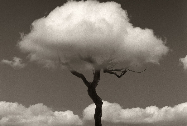 exposicion-chema-madoz-naturaleza-de-las-cosas-vigo