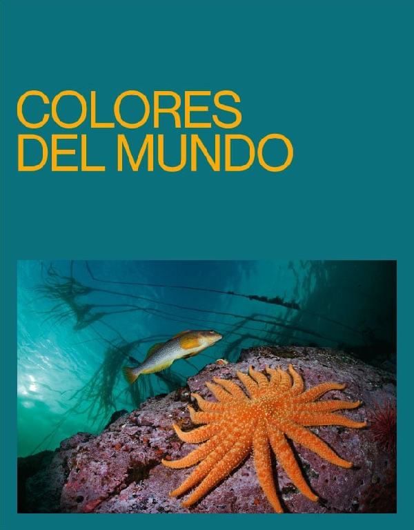 col-ocioengalicia