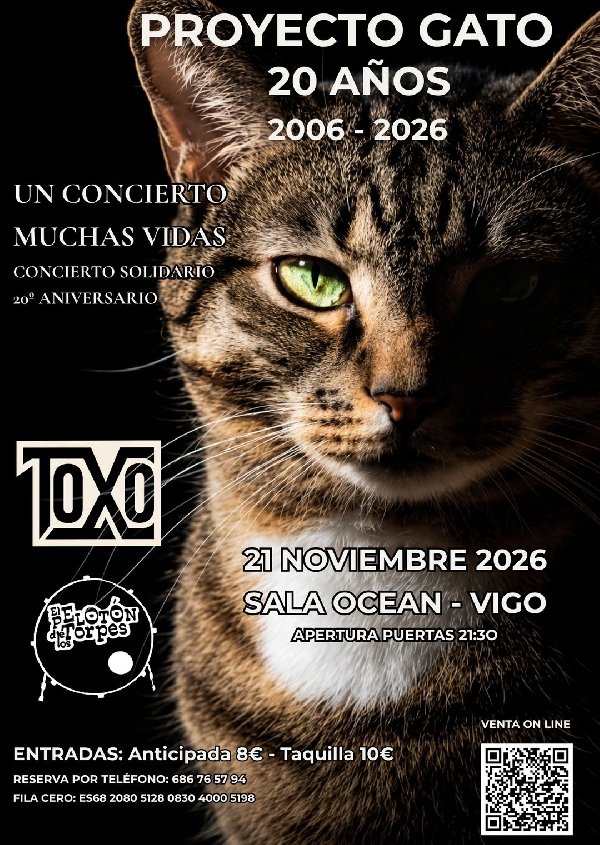 gato-ocioengalicia