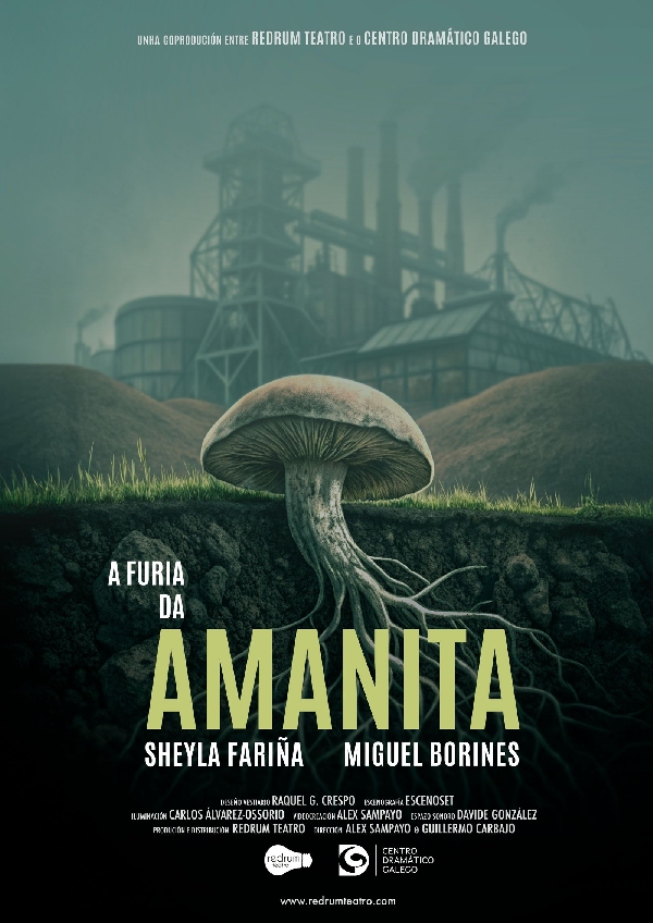 rc-a-furia-da-amanita-62-ocioengalicia