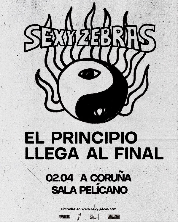 sexyZebras-ocioengalicia